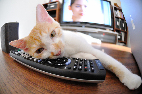 全国青少年篮球联盟联赛精彩纷呈,赛场火热,全国青少年篮球公开赛