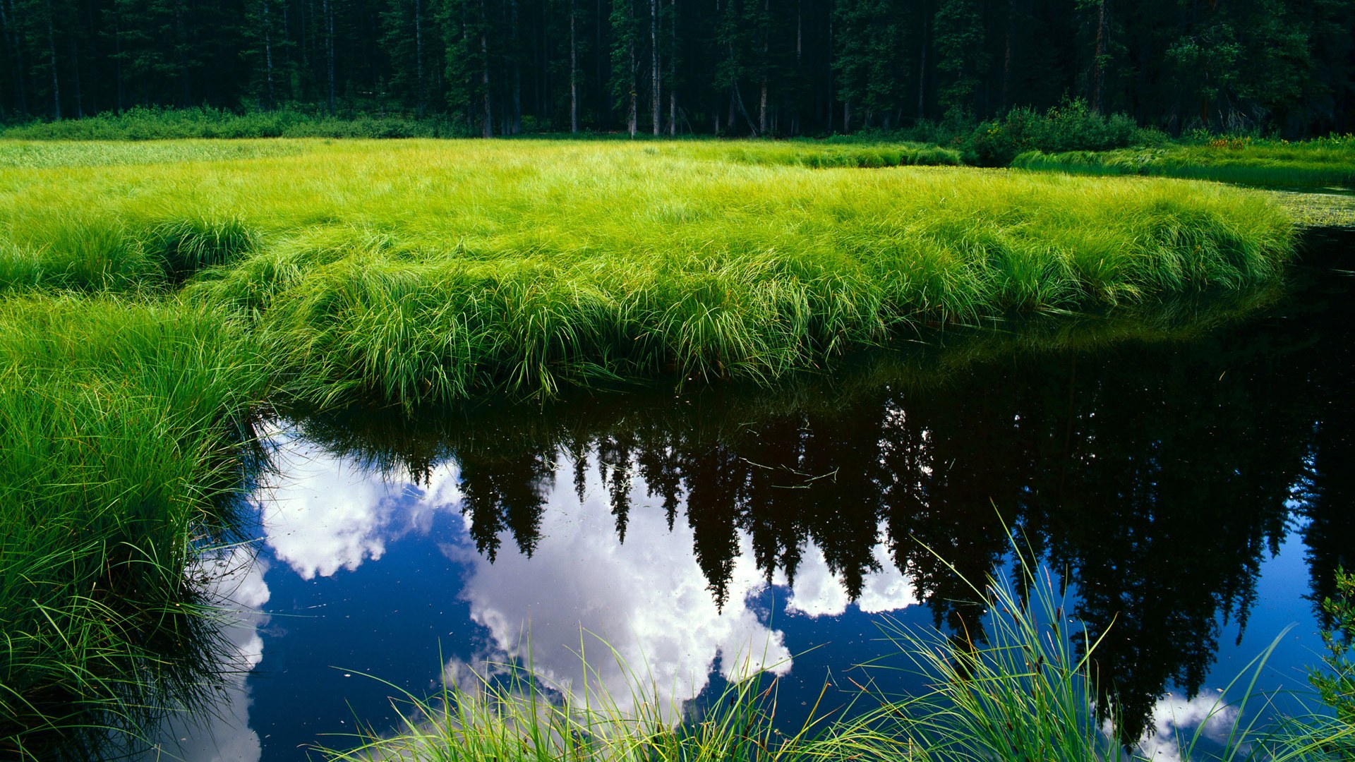 全国青少年篮球联盟联赛精彩纷呈,赛场火热,全国青少年篮球公开赛