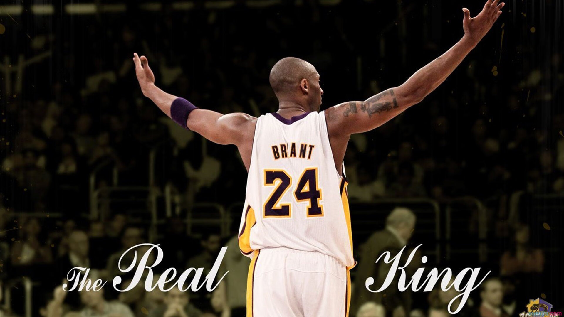 全国青少年篮球联盟联赛精彩纷呈,赛场火热,全国青少年篮球公开赛