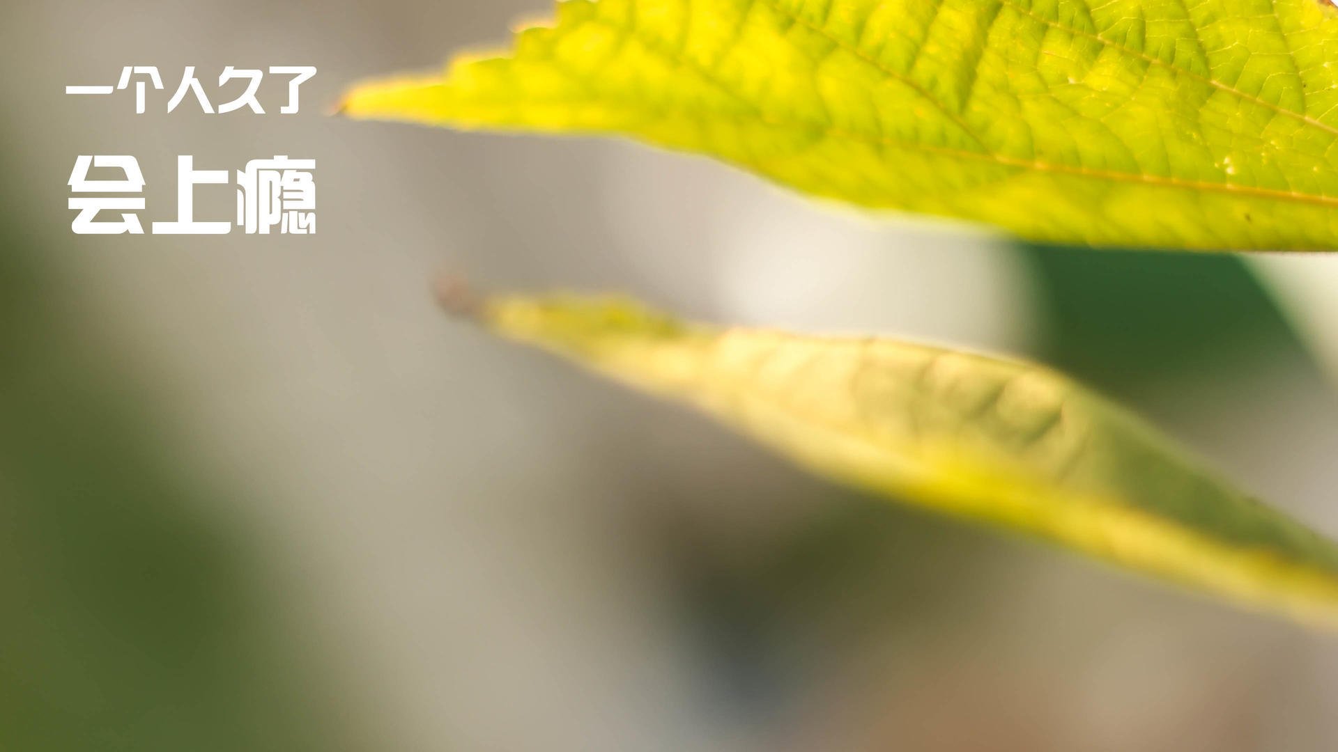 【比赛战报】顶级运动员在大赛中的攻守策略一览，运动员的四大比赛能力